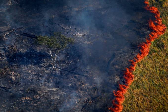 Desmatamento desenfreado é uma verdadeira ameaça à soberania nacional - News Rondônia