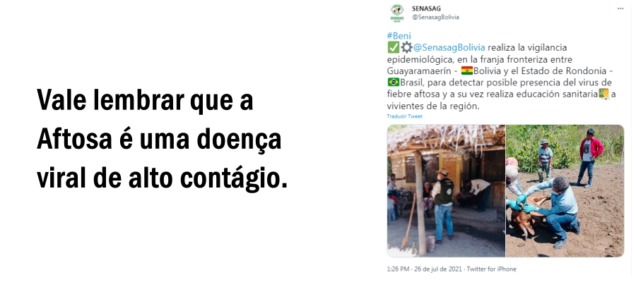 Bolívia investiga suposto caso de Aftosa na fronteira e força o alerta em Rondônia - News Rondônia