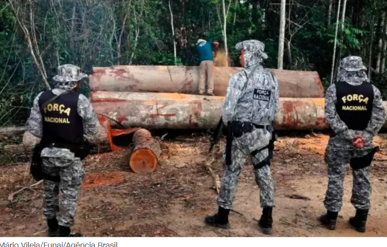Ministro autoriza e Força Nacional de Segurança já está atuando no combate aos crimes ambientais na Amazônia - News Rondônia