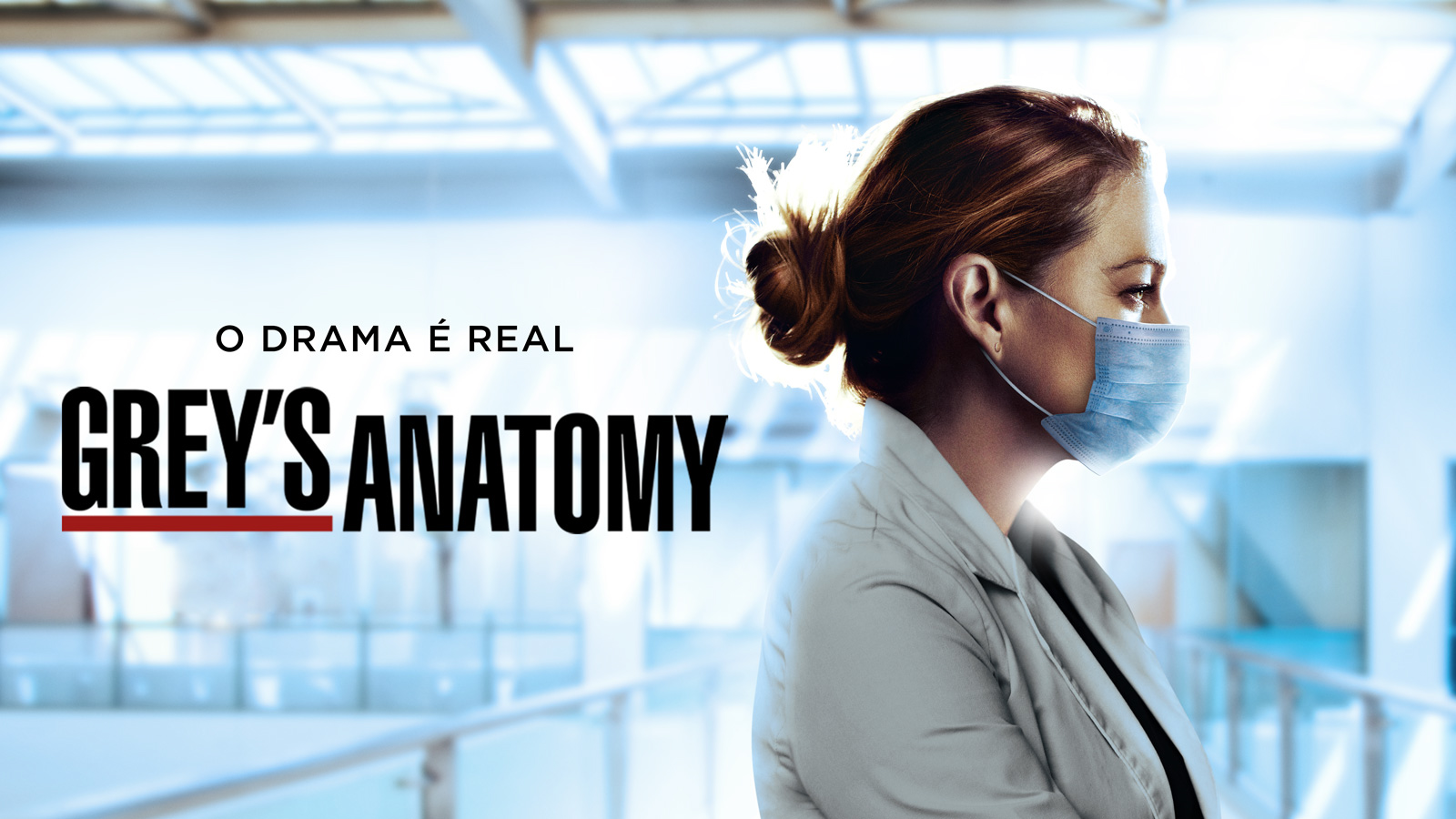 17ª temporada de Greys Anatomy está disponível na Netflix - News Rondônia