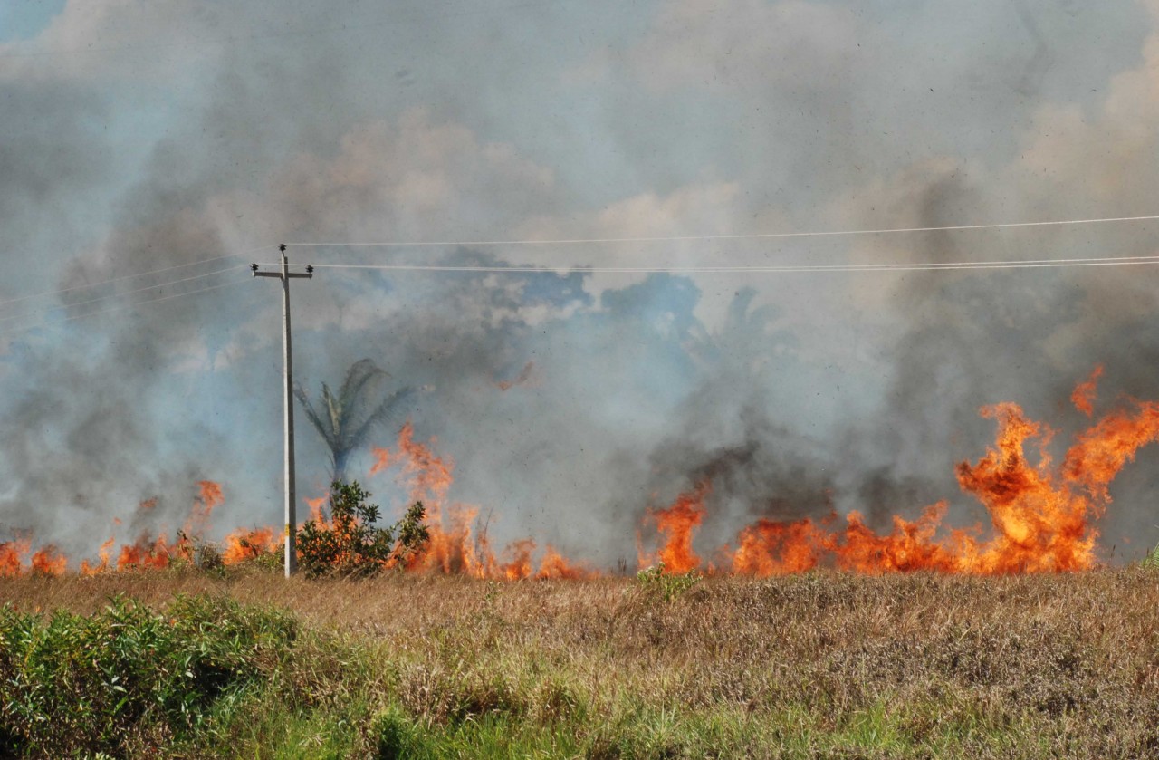 Decreto federal suspende por 120 dias uso do fogo, principalmente na Amazônia Legal - News Rondônia