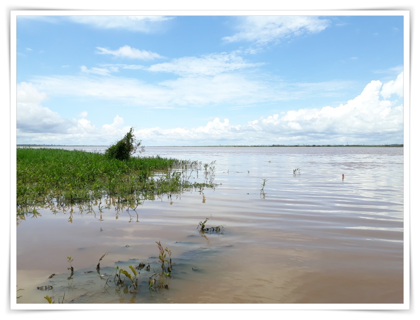 Com 50 centímetros para a cota de inundação, Rio Madeira sobe e água já atinge casas em Porto Velho - News Rondônia