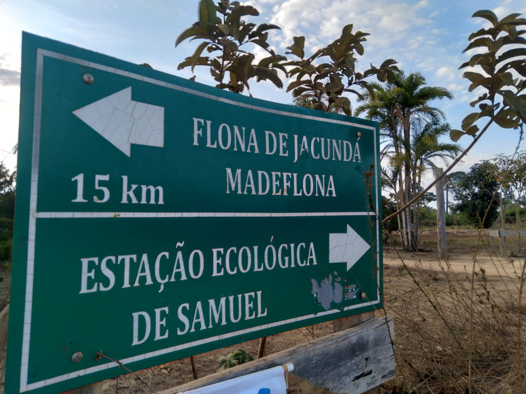 O que madeireiras tentam esconder atrás de planos de manejos e ampliação de domínio sob concessão - News Rondônia