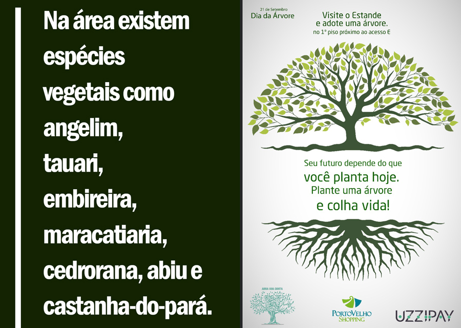 UzziPay celebra o Dia da Árvore e seu aniversário de 1 ano com a doação de 3.000 mudas de árvores - News Rondônia