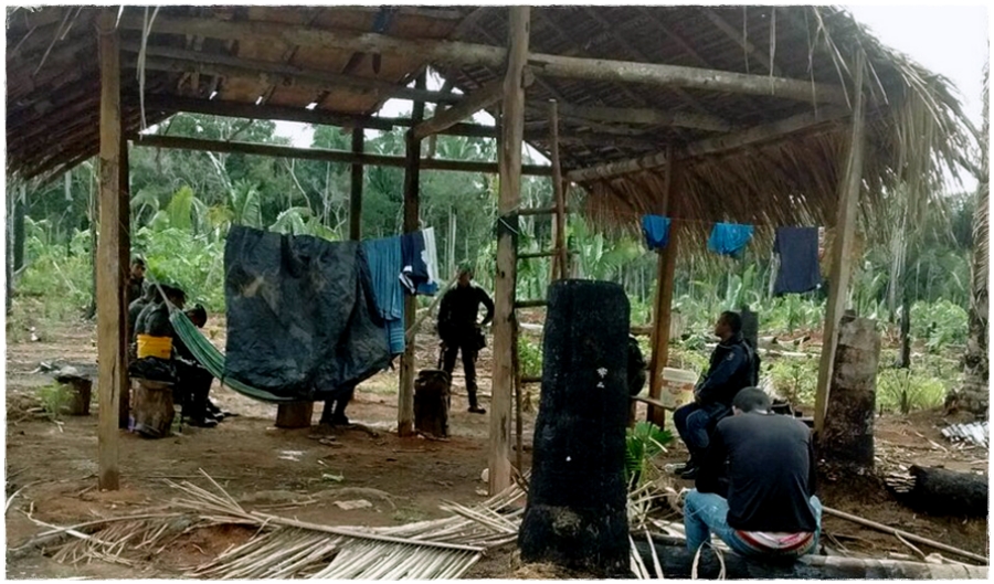 Policiais amazonenses vasculham área da fazenda Shalom, em 2017 (Imagens Policia Civil do AM e Amazônia REAL)