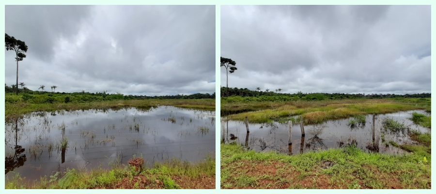 Dia Mundial Água: consumo abusivo e desperdício demandam alerta em Rondônia - News Rondônia