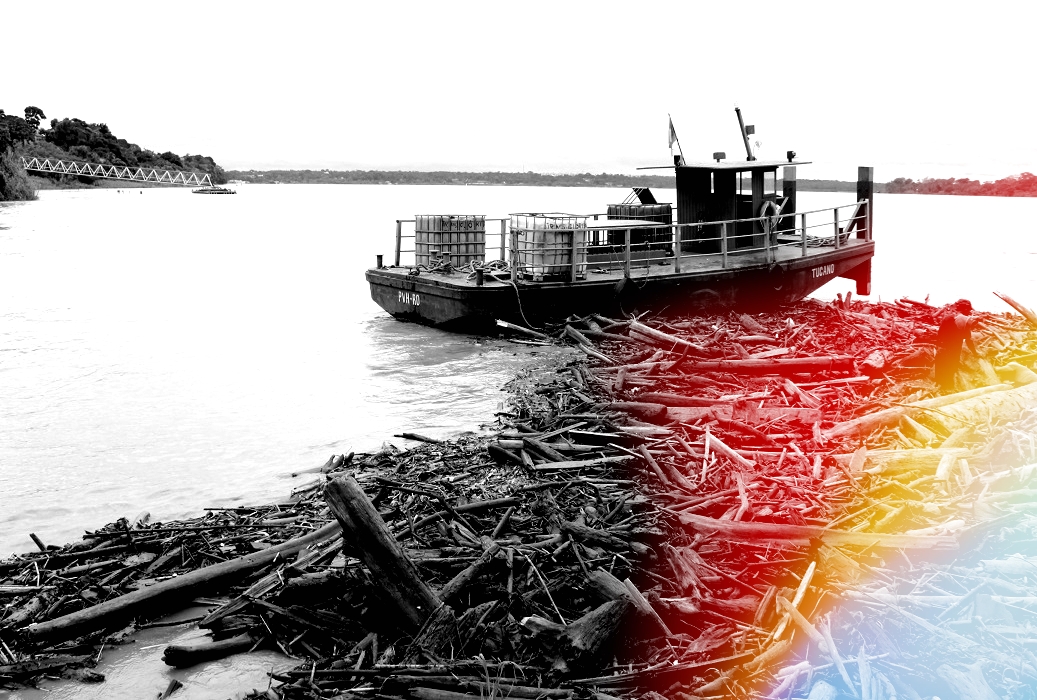 Troncos à deriva colocam em risco a navegação no Rio Madeira - News Rondônia