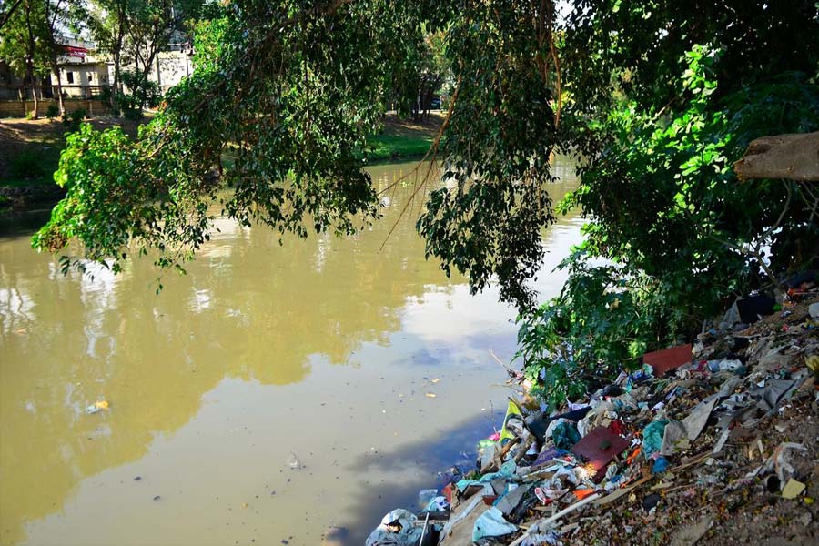 Dia Mundial da Limpeza tenta recuperar rios - News Rondônia