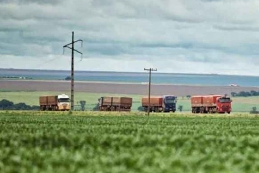 Boletim Logístico da Conab revela preços recordes do frete na colheita de soja deste ano - News Rondônia
