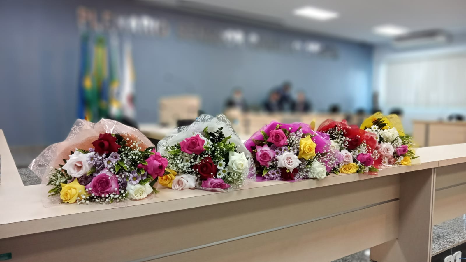 Mulheres são homenageadas em Sessão Solene na Câmara de vereadores de Cacoal - News Rondônia