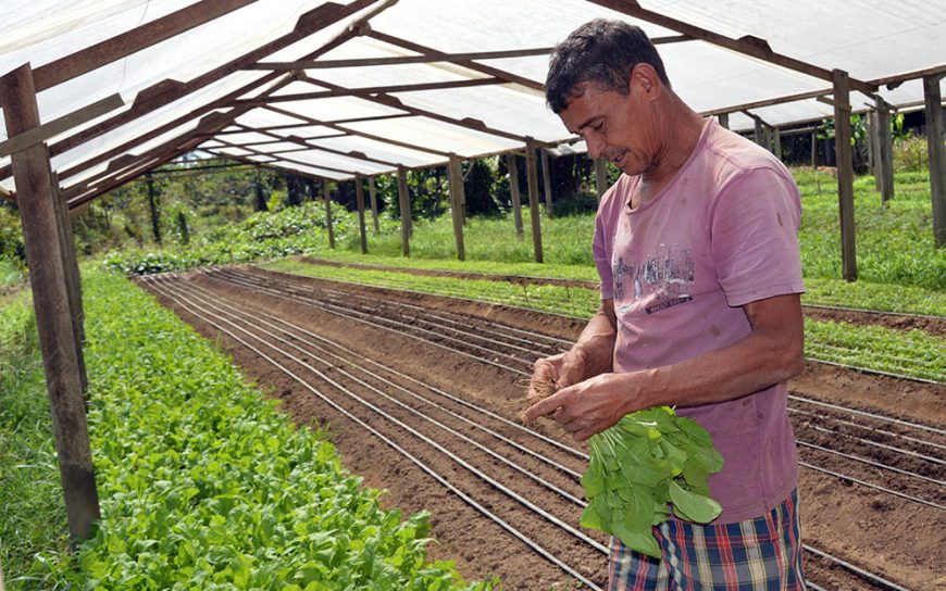 ATER - Programa de Assistência Técnica e Extensão Rural vai inserir agricultura de Rondônia em patamar tecnológico - News Rondônia