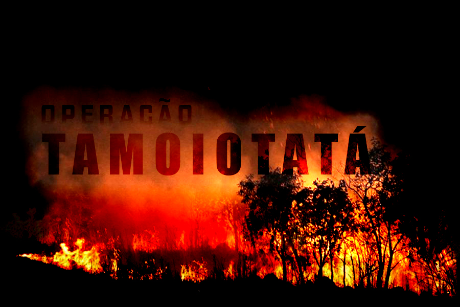 Operação Tamoiotatá apresenta primeiros baques nas queimadas e desmatamentos ilegais no sul do Amazonas - News Rondônia