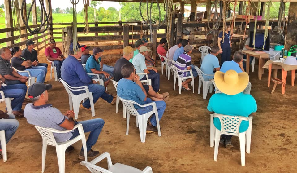 Pesquisa traça panorama da qualidade do leite em Rondônia e Acre - News Rondônia