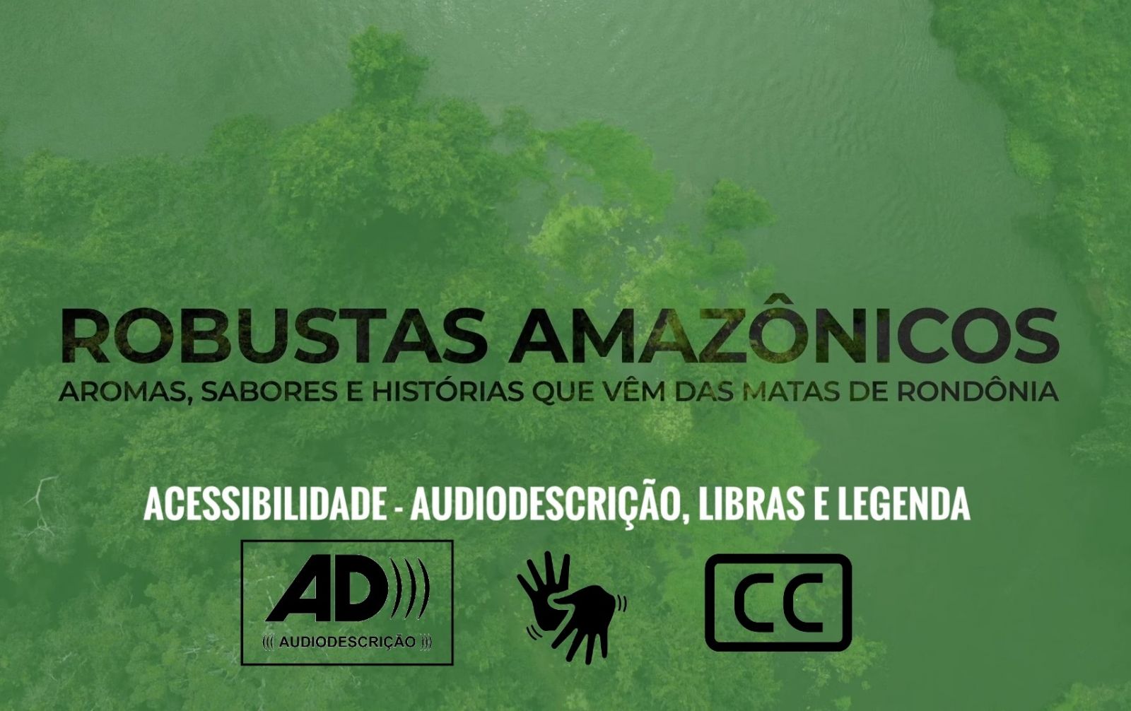 Embrapa disponibiliza documentário sobre os Robustas Amazônicos com audiodescrição, libras e legendas - News Rondônia