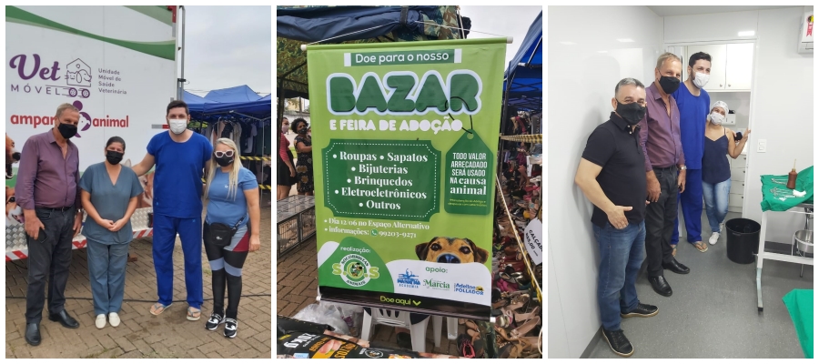 Feira de adoção animal recebe apoio do deputado Adelino Follador - News Rondônia