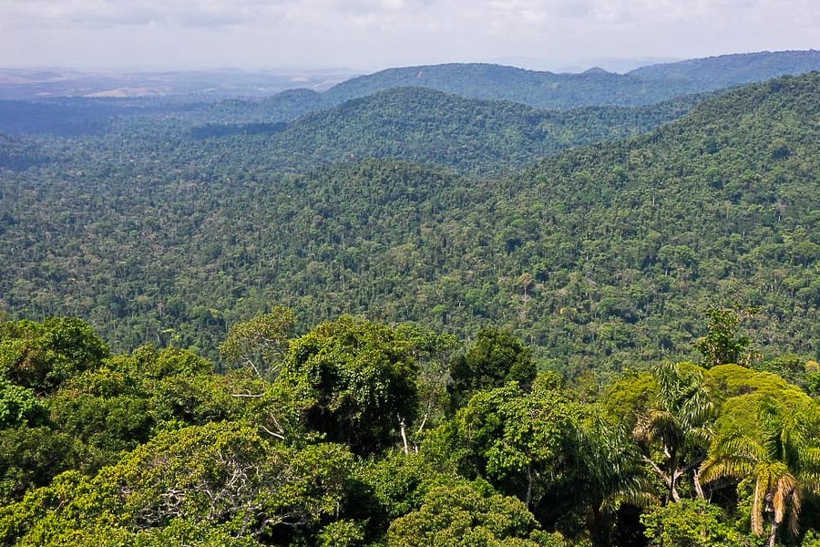 Amazônia: redução da pobreza e do desmatamento podem coexistir - News Rondônia