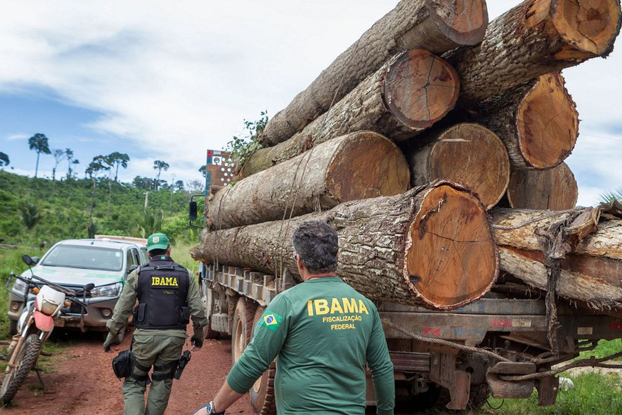 Ibama: Grupo vai fiscalizar fraudes em sistemas de controle florestal - News Rondônia