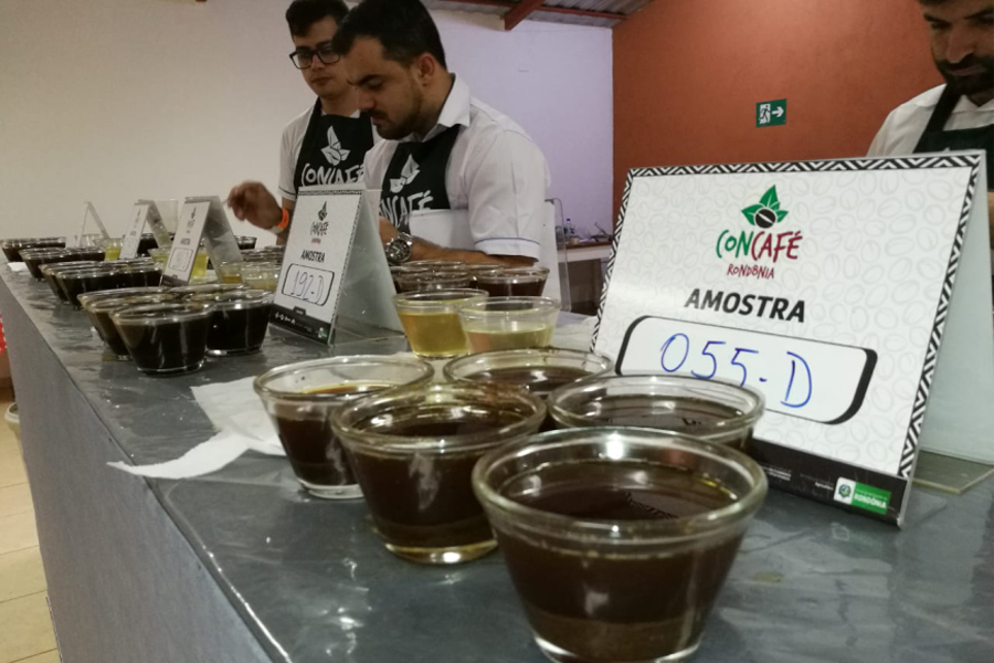 Extensionista da Emater Rondônia conquista a 3ª colocação em concurso para avaliação de cafés especiais do País - News Rondônia