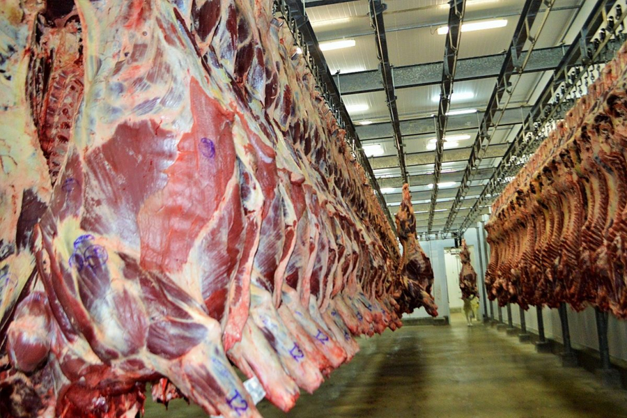 Câmara Setorial da Cadeia Produtiva da Carne Bovina discute ações de alinhamento para 2023 - News Rondônia