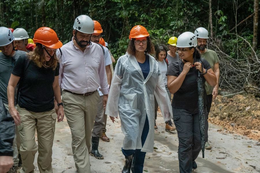 Brasil e Reino Unido anunciam aportes em projeto ambiental na Amazônia - News Rondônia