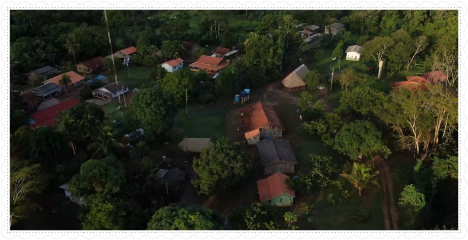 Reflorestamento Renascer, desenvolvido pelos Paiter Suruí é indicado ao Prêmio United Earth Amazônia - News Rondônia