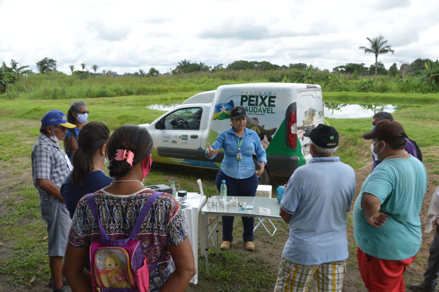 Uso de tecnologia fortalece piscicultura como alternativa para a agricultura familiar em Rondônia - News Rondônia