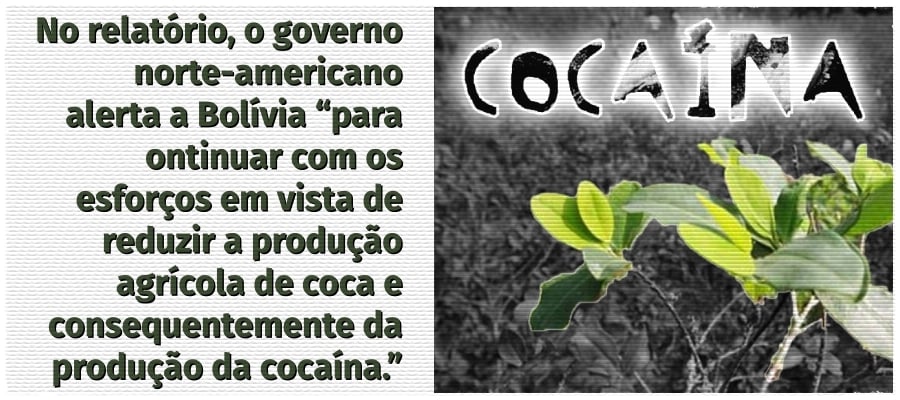 Bolívia contesta estudo dos EUA que comprova aumento no cultivo do plantio de Coca - News Rondônia