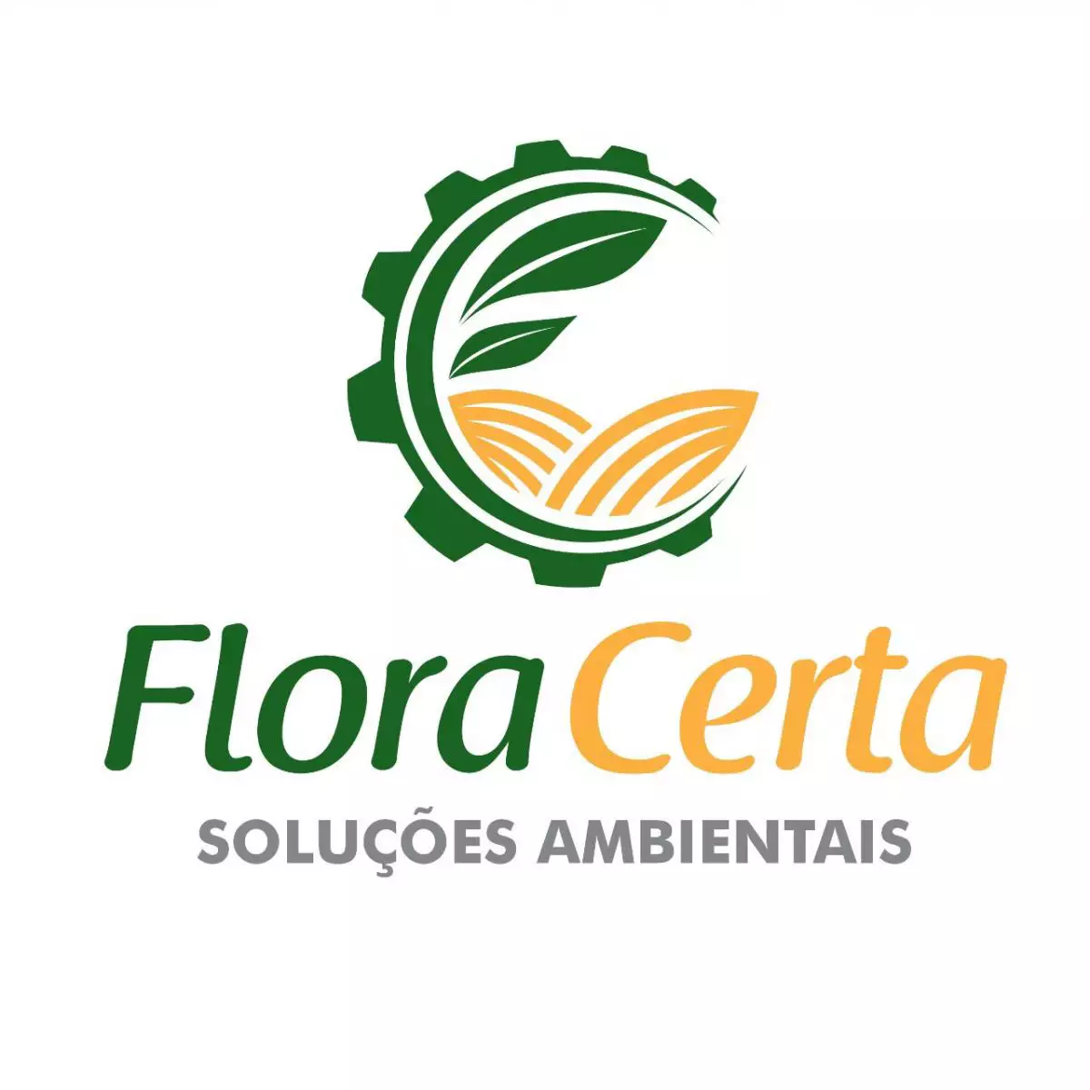 Recebimento da Licença Ambiental: ANJO GABRIEL COMERCIO DE FERRAGENS E SUCATA LTDA - News Rondônia