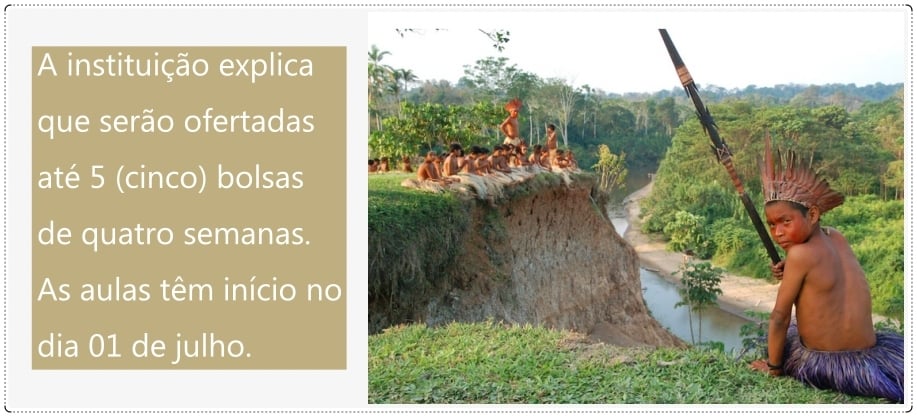 Pour le Brésil: iniciativa abre inscrições para bolsistas; alvo são estudantes que vivem na Amazônia Legal - News Rondônia