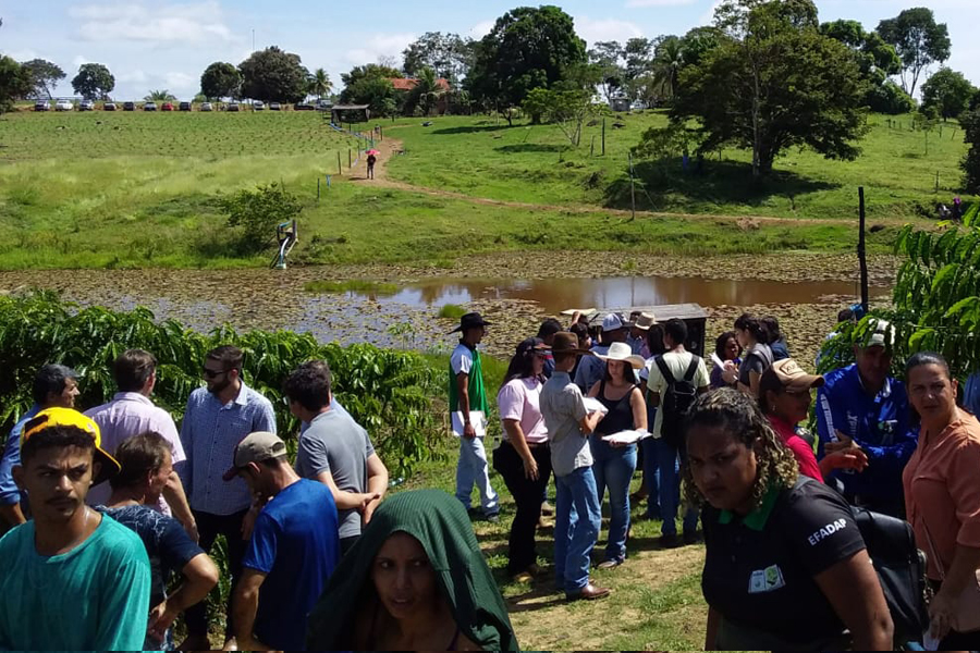 Emater Rondônia leva assistência técnica em café clonal para produtores rurais de Jaru - News Rondônia