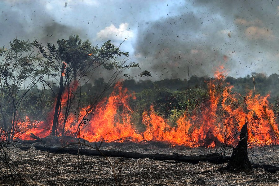 Campanha contra queimadas conscientizará população nos próximos meses em Porto Velho - News Rondônia