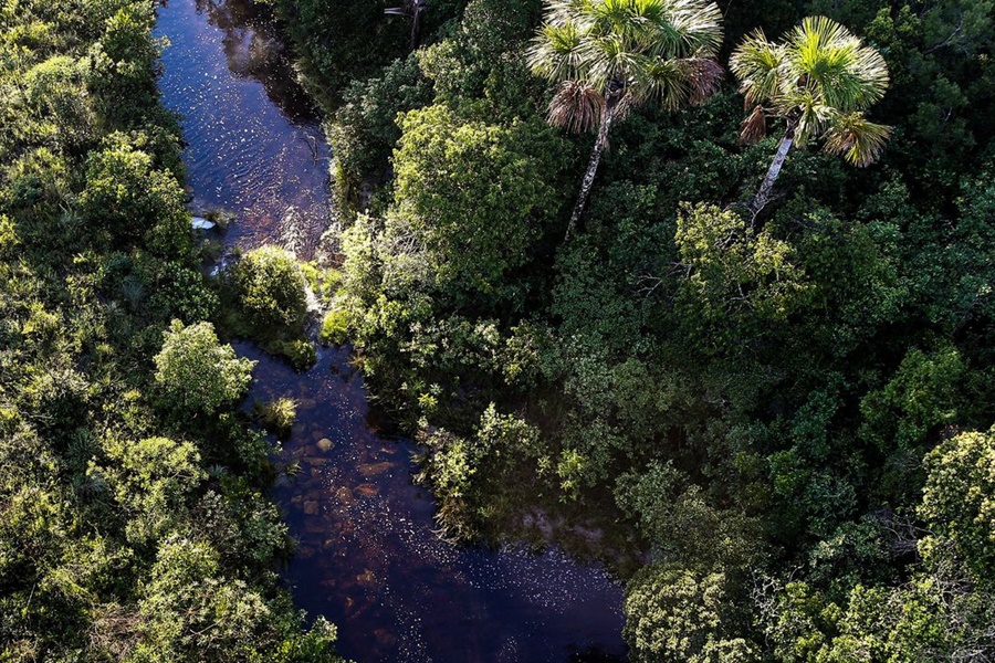 ICMBio divulga balanço sobre combate a crimes ambientais - News Rondônia
