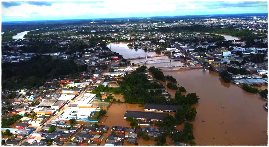 Com a vazante do Rio Acre, Gameleira ressurge após quatro dias debaixo d´água - News Rondônia