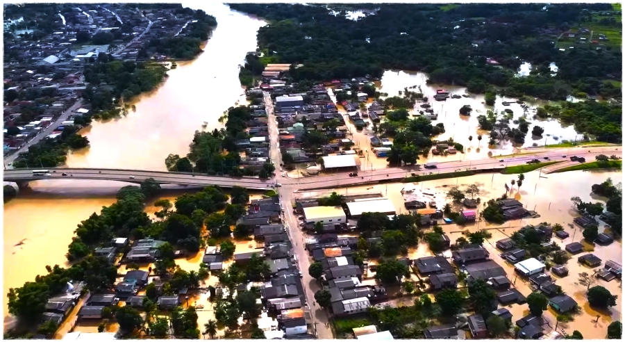 Com a vazante do Rio Acre, Gameleira ressurge após quatro dias debaixo d´água - News Rondônia