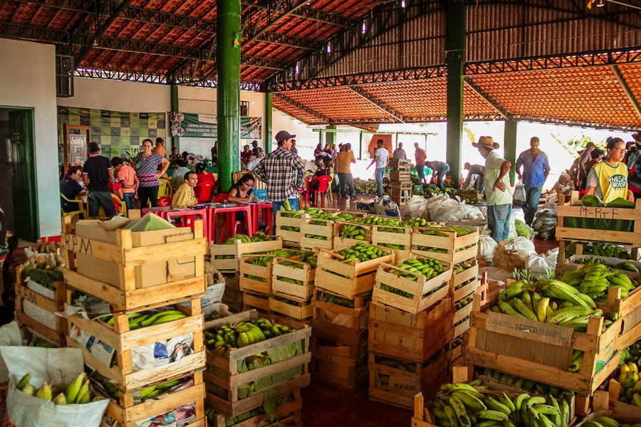 Seminário Estadual orienta produtores sobre processo de seleção e aquisição de alimentos, na Rondônia Rural Show - News Rondônia