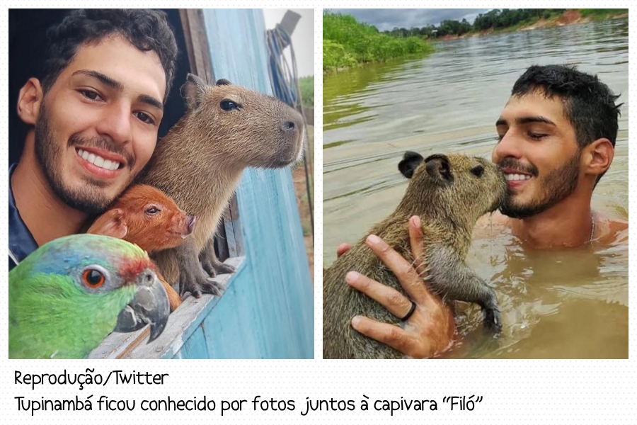 IBAMA impõe multa a influenciador digital por maus-tratos a animais na Amazônia - News Rondônia