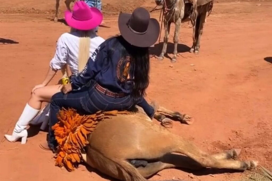 Após repercussão de vídeo, dono de mula filmada em cavalgada diz que animal não estava exausto - News Rondônia