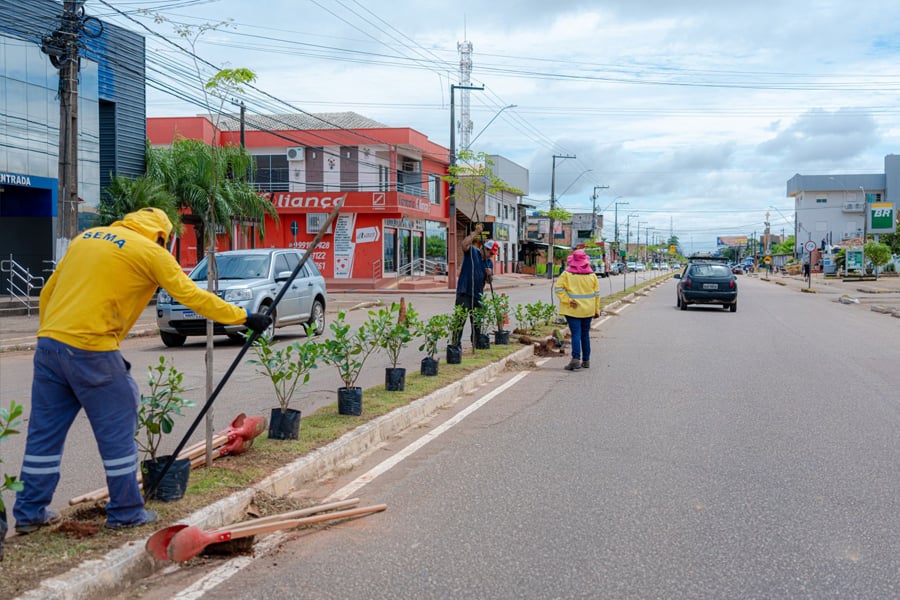 Prefeitura segue com o plantio de mudas na avenida Vieira Caúla - News Rondônia