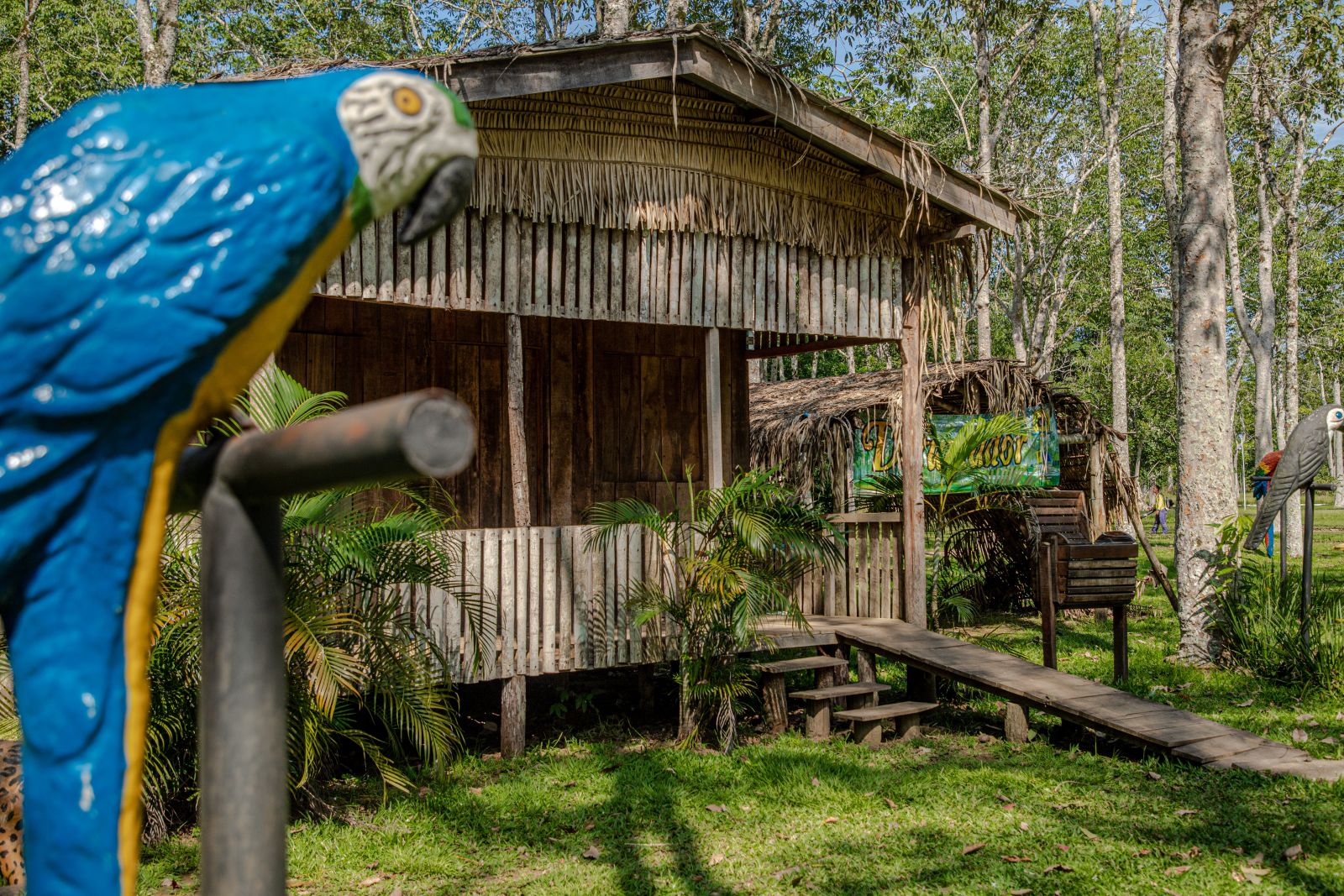 Parques de Porto Velho são ideais para atividades ao ar livre nas férias escolares - News Rondônia