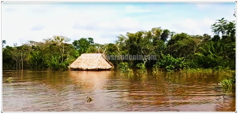 Aumento do Rio Pacaás Novos causa inundação na aldeia do povo Oro Win - News Rondônia