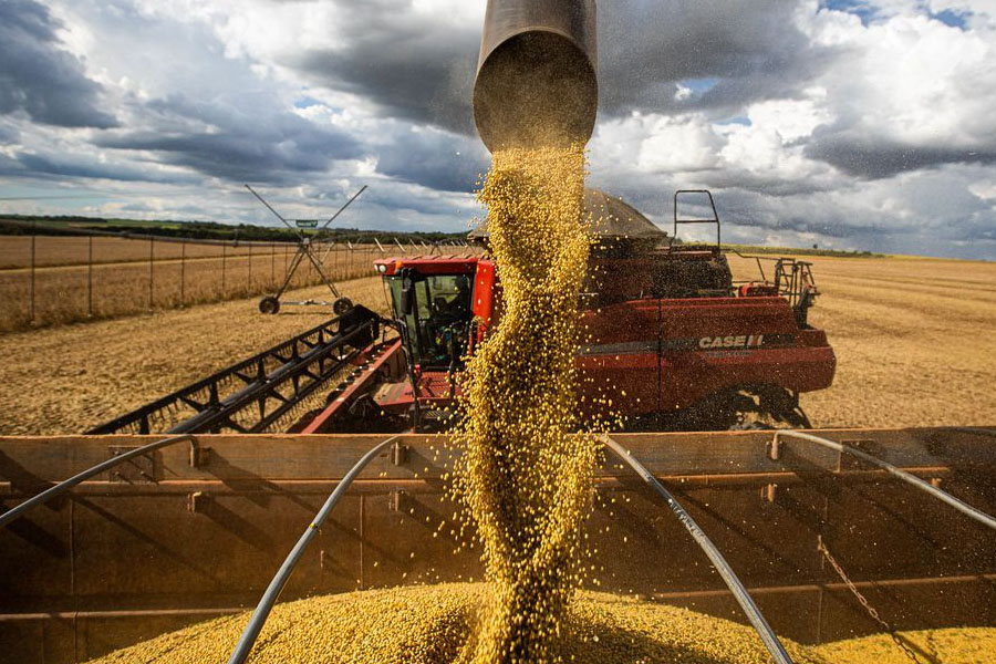 Expectativa da Conab aponta para uma safra recorde de grãos em 2021/22, superando 271 milhões de toneladas - News Rondônia