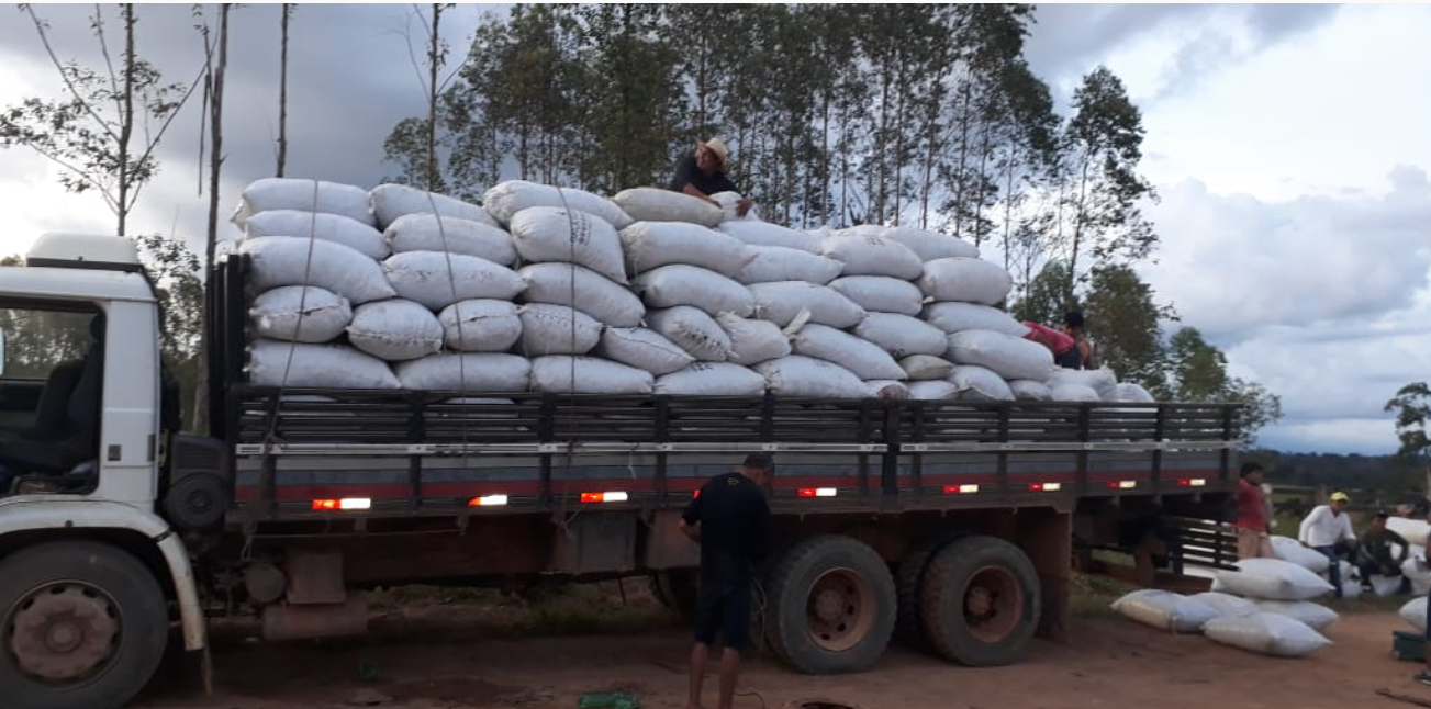 Com a ajuda de parceiros, indígenas da etnia Zoro coletam 120 toneladas de castanha-do-Brasil nesta safra - News Rondônia