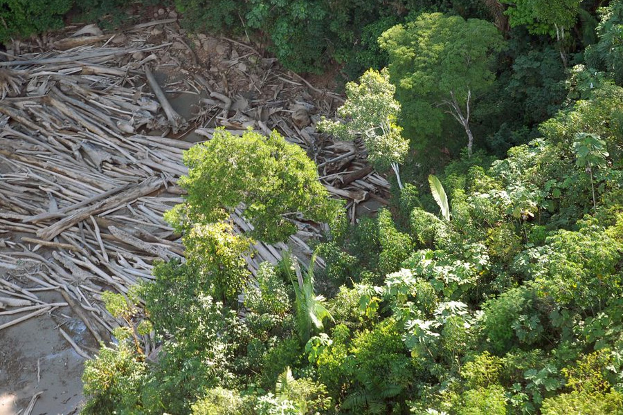 Três em cada quatro hectares desmatados têm indícios de ilegalidade - News Rondônia