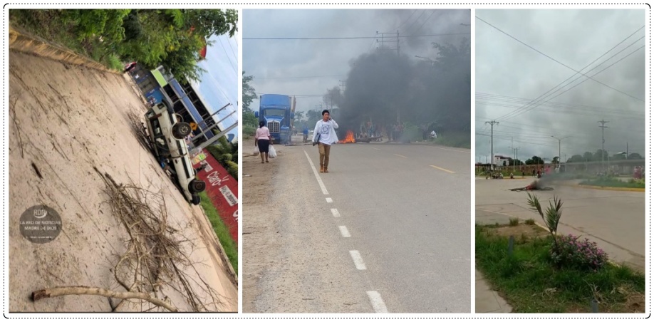 Brasileiros que moram no Peru pedem ajuda do governo: cenário é de 'tensão e medo' - News Rondônia