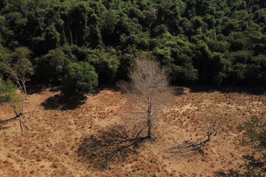 Desmatamento em terras indígenas provocou emissão de CO2 na Amazônia - News Rondônia
