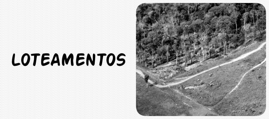 COLUNA ESPAÇO ABERTO: Polícia vai para cima de invasores de terra em áreas de conservação - News Rondônia