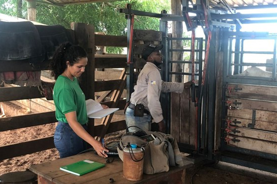 Programa AgroResidência promove capacitação e inserção de jovens no mercado de trabalho - News Rondônia