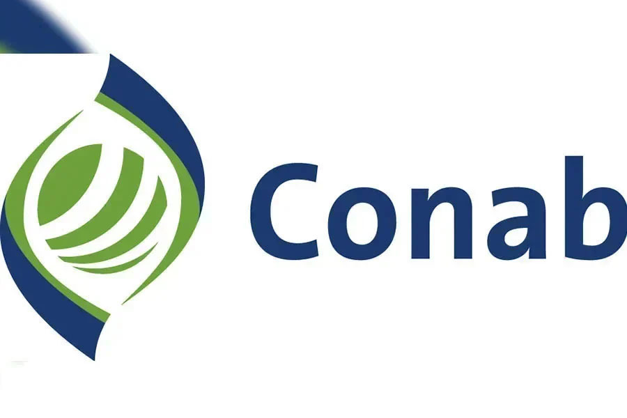 Conab apresenta as perspectivas para a agropecuária na safra 2022/2023 - News Rondônia