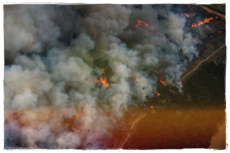 Devastação: Amazônia brasileira perdeu em floresta um país superior a Bélgica - News Rondônia
