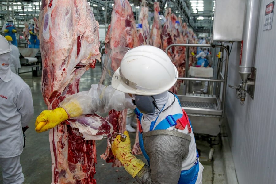 Exportação de carne bovina à Indonésia é destacada pelo governador Marcos Rocha como reflexo das ações realizadas - News Rondônia